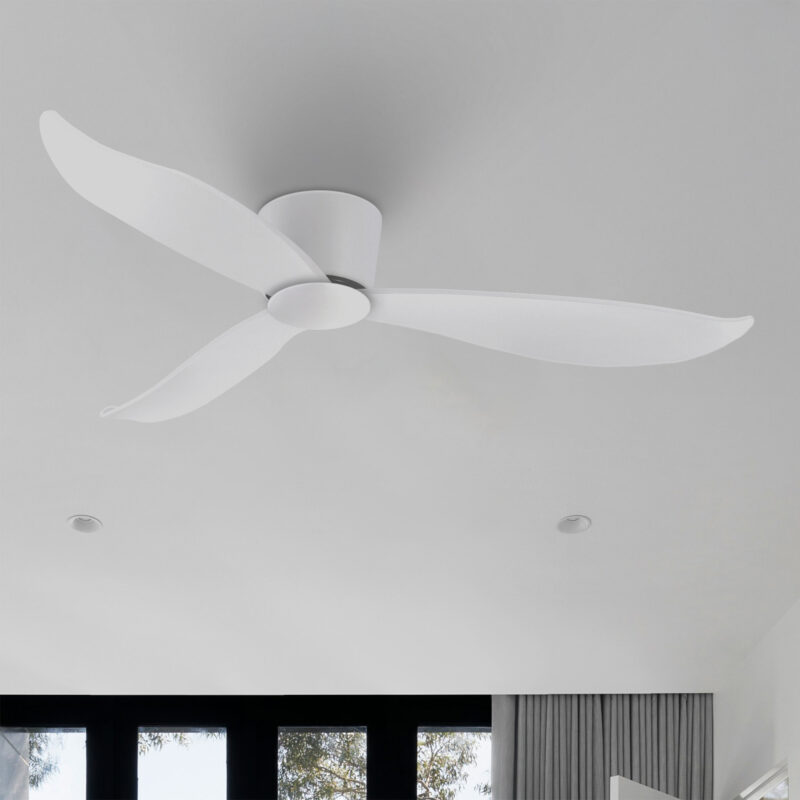 Claro Essentials Spirit Lifestyle Image Close